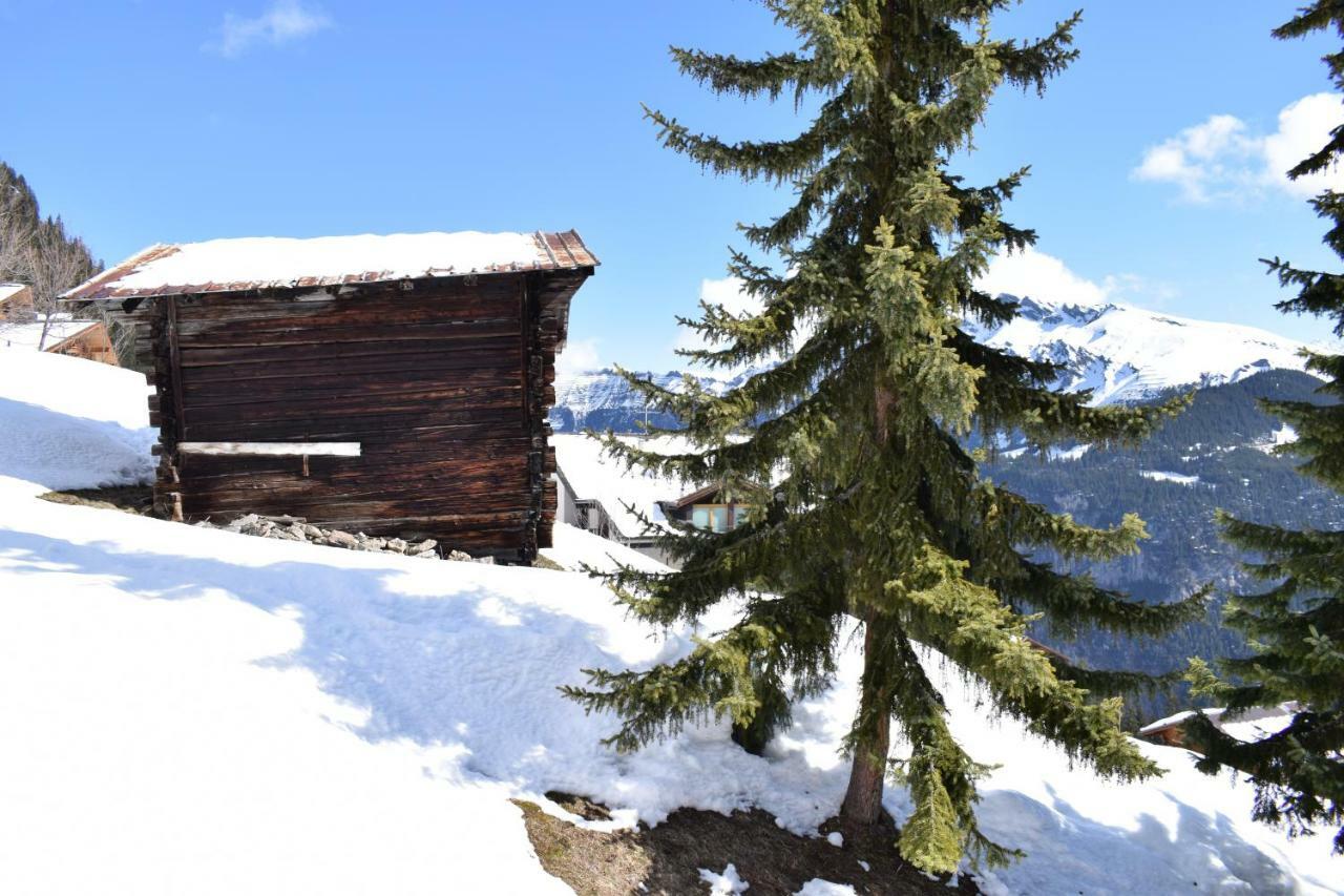 Sportlodge Muerren Esterno foto